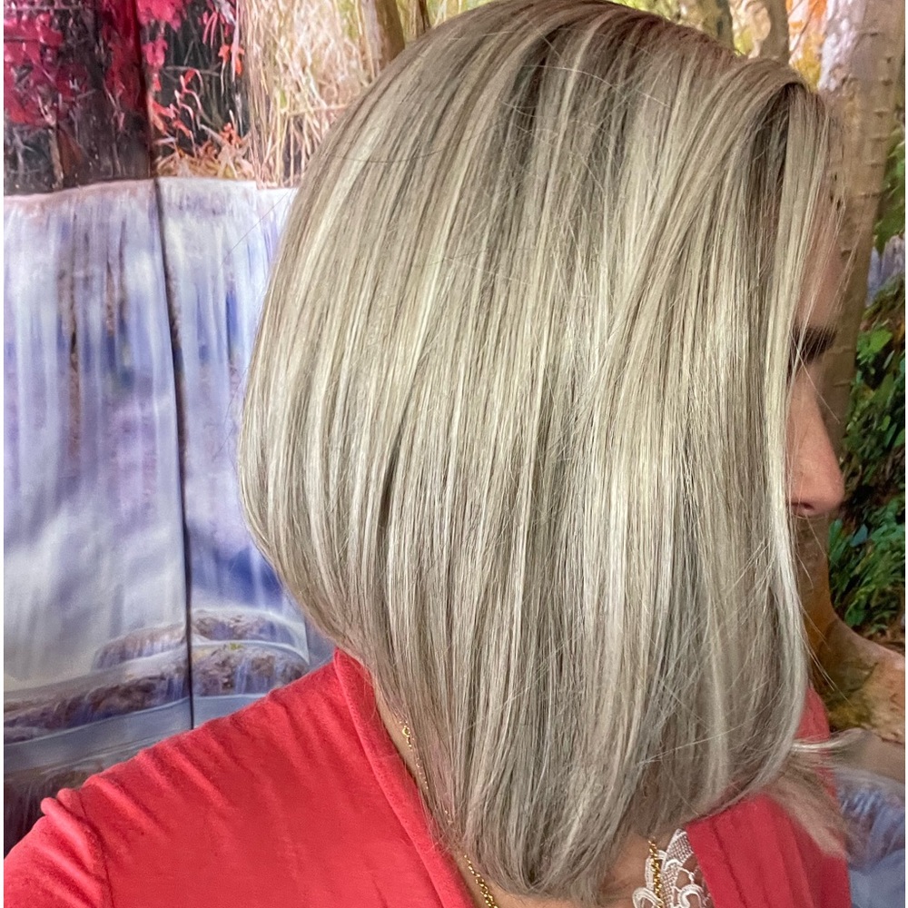 🦋WFEW, Gemini, Salt & Pepper Wig by Heather Dye, lace front wig - Picture 5 of 13